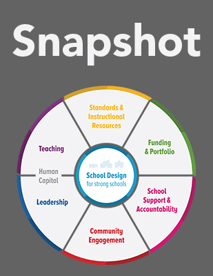 The Strategic System Snapshot: Assessment and Metrics