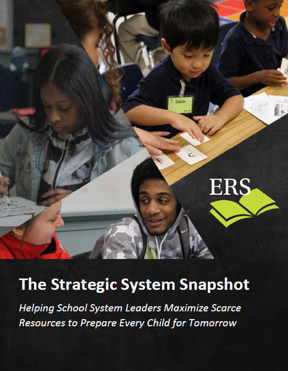 The Strategic System Snapshot Overview