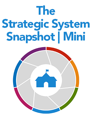 The Strategic System Snapshot | Mini